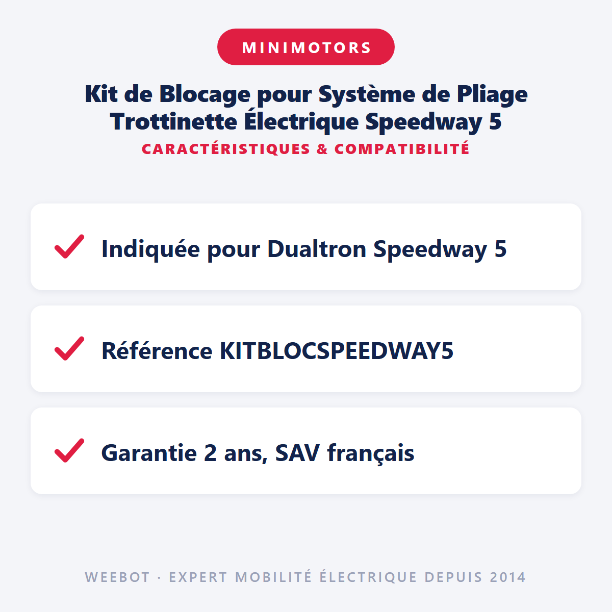 Kit de Blocage pour Système de Pliage Trottinette Électrique Speedway 5 : caractéristiques et compatibilité