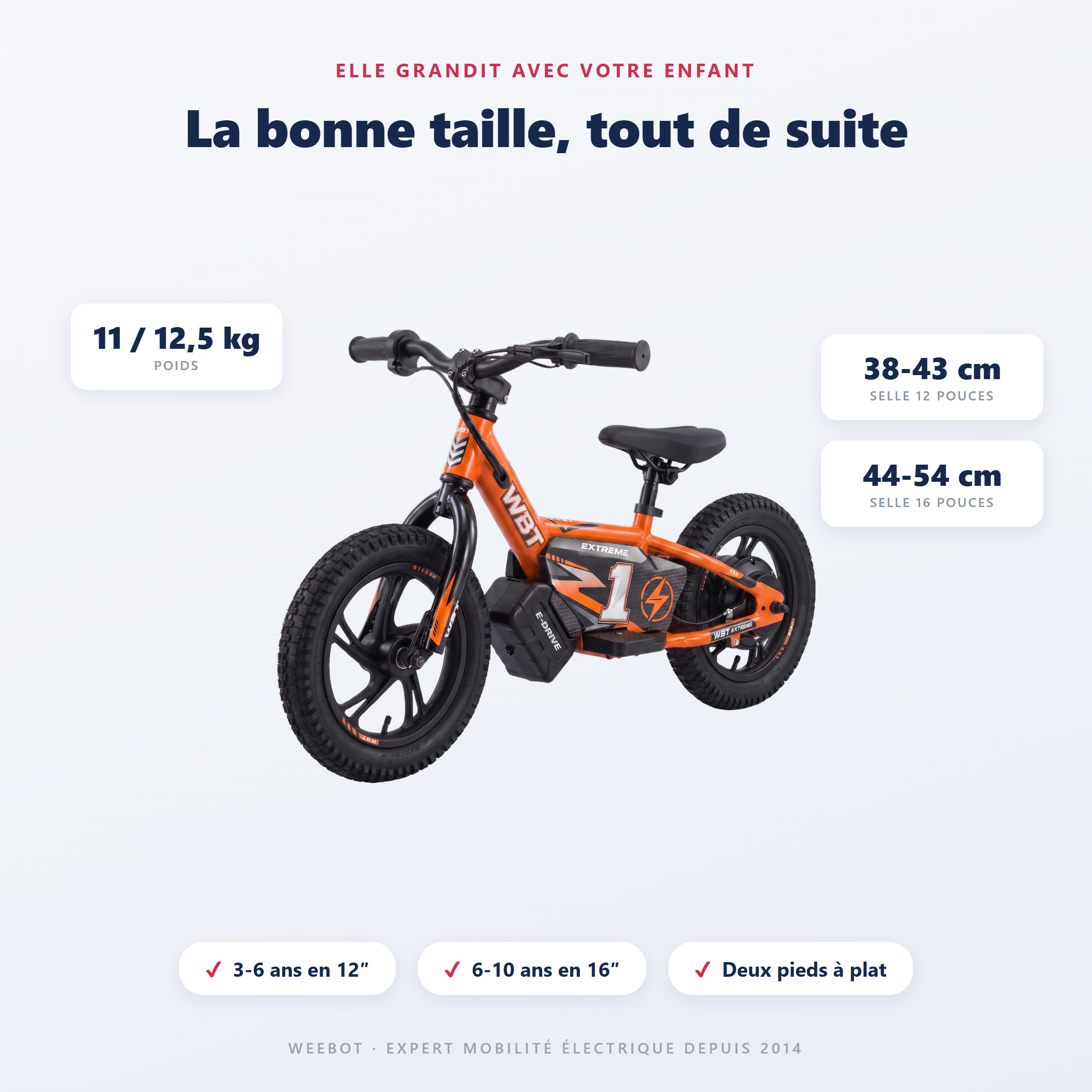 draisienne électrique tout terrain WBT Kick X - guide des tailles