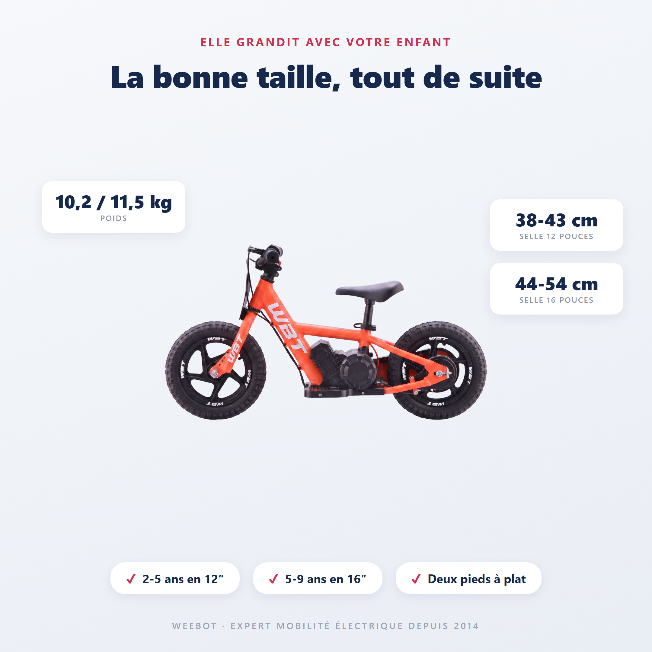 draisienne électrique enfant WBT Rookie - guide des tailles