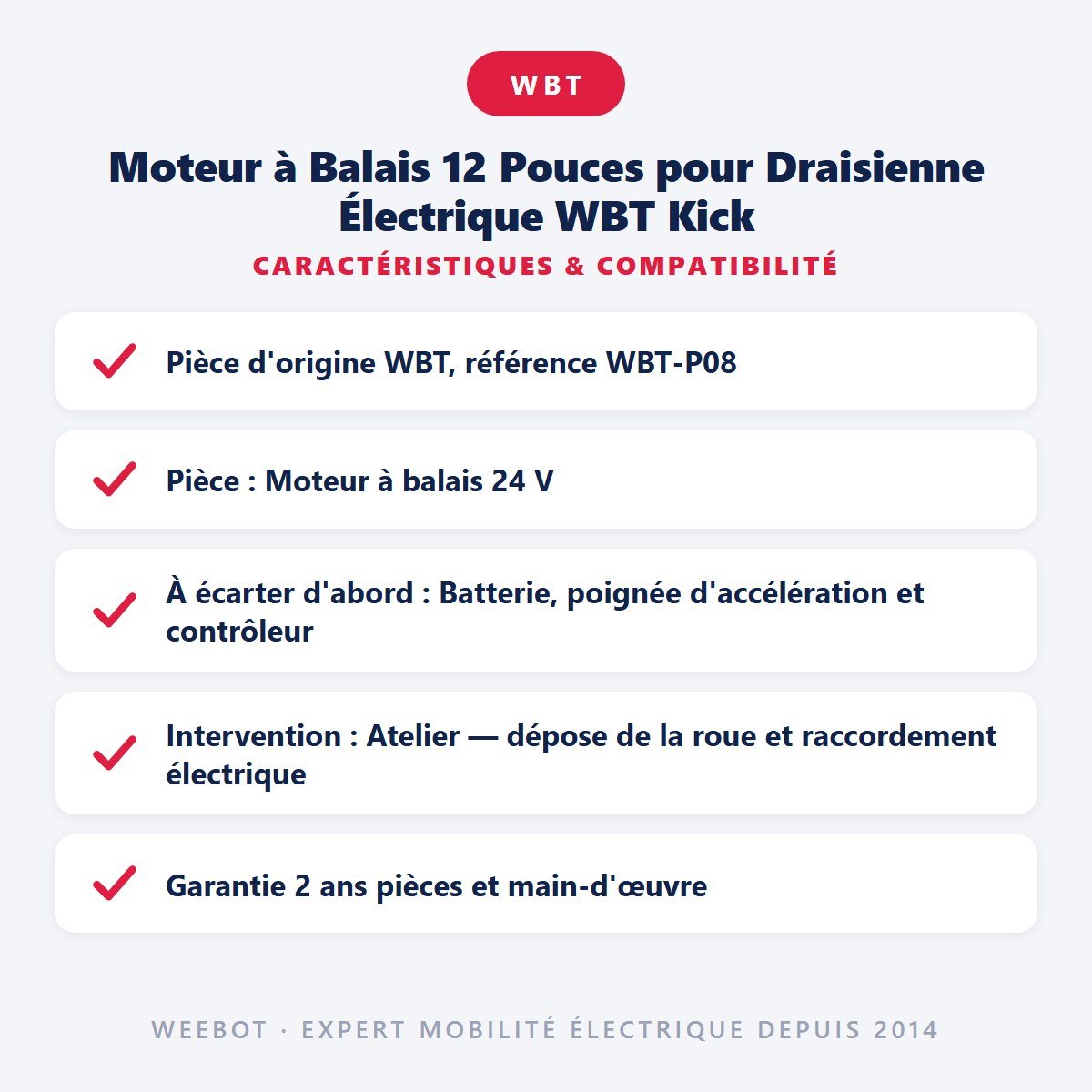 Moteur à Balais 12 Pouces pour Draisienne Électrique WBT Kick - Weebot