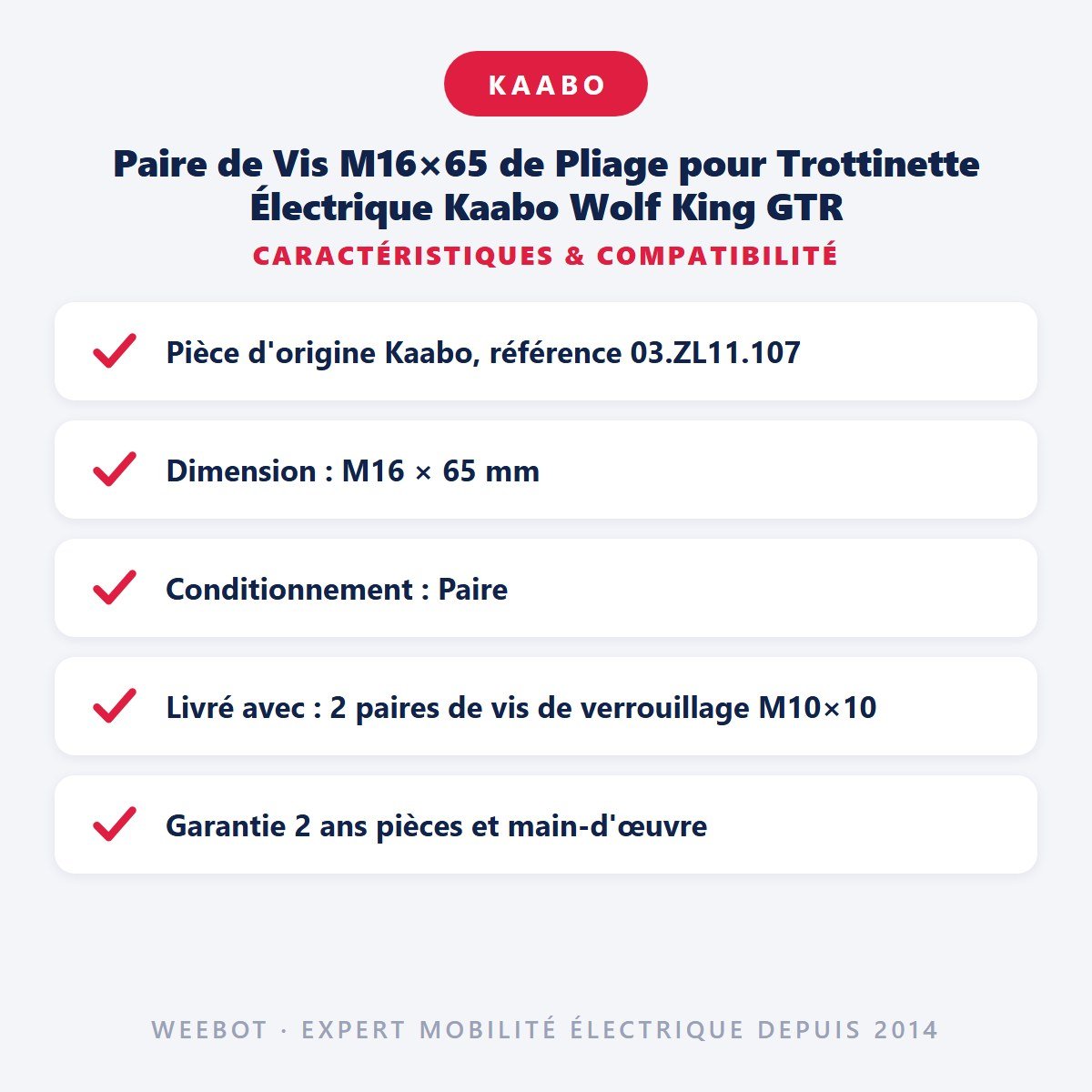 Paire de Vis M16×65 de Pliage pour Trottinette Électrique Kaabo Wolf King GTR - Weebot