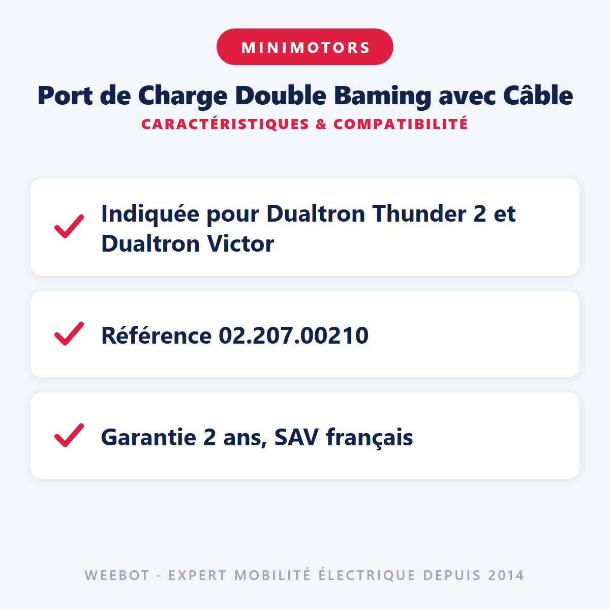 Port de Charge Double Baming avec Câble : caractéristiques et compatibilité