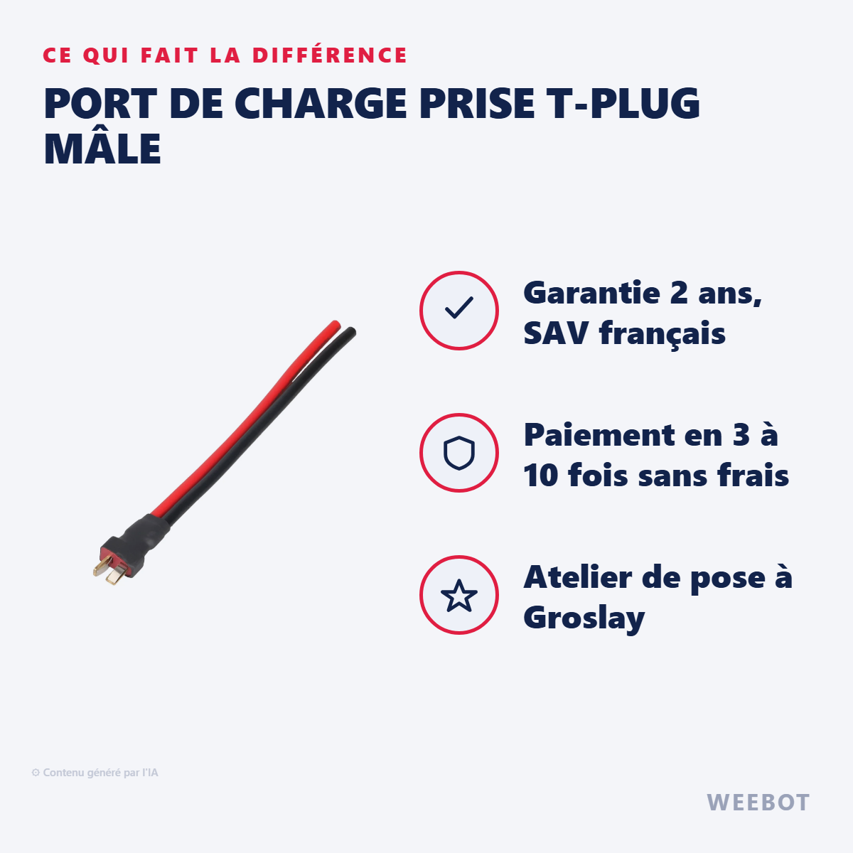 Port de Charge Prise T-Plug Mâle : les points forts