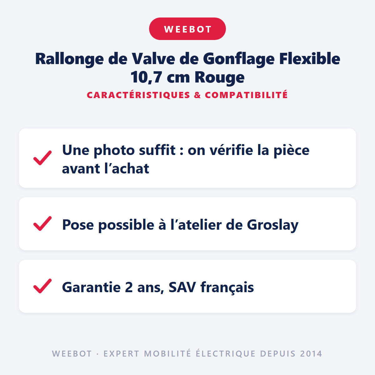 Rallonge de Valve de Gonflage Flexible 10,7 cm Rouge : caractéristiques et compatibilité