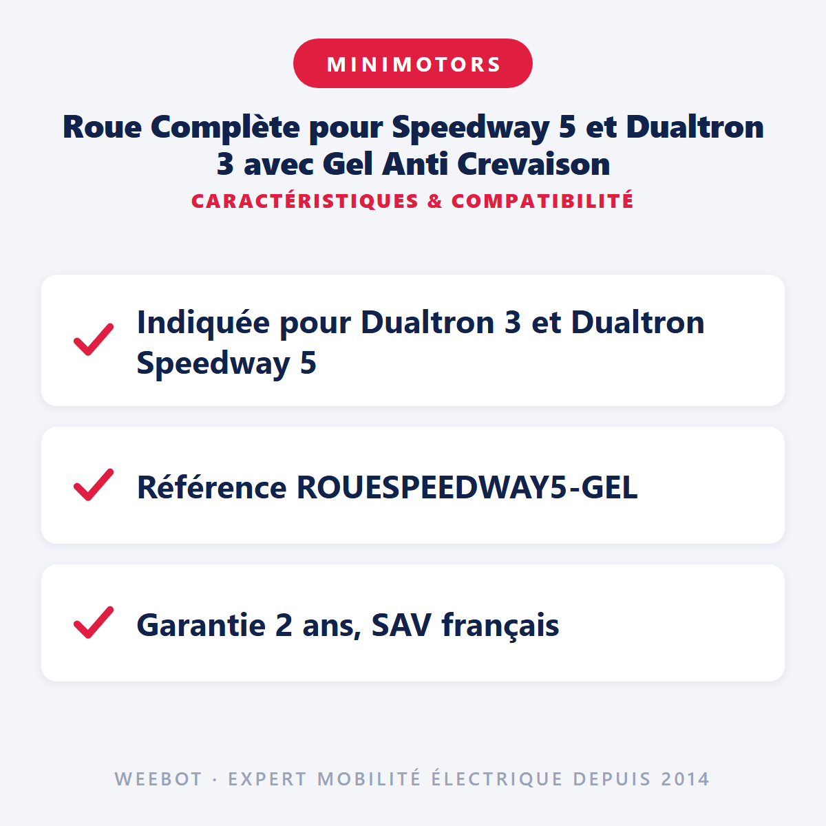 Roue Complète pour Speedway 5 et Dualtron 3 avec Gel Anti Crevaison - Weebot