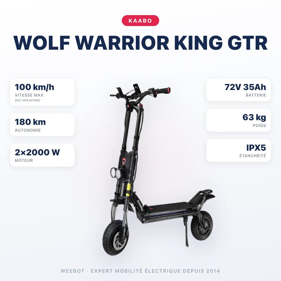 Trottinette Électrique Wolf Warrior King GTR Kaabo - Weebot