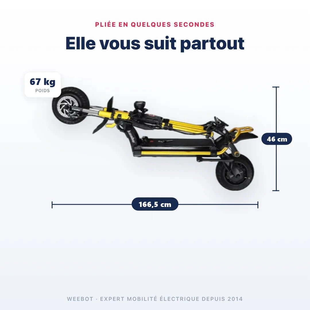 Trottinette Électrique Wolf Warrior King GTR MAX Kaabo - Weebot