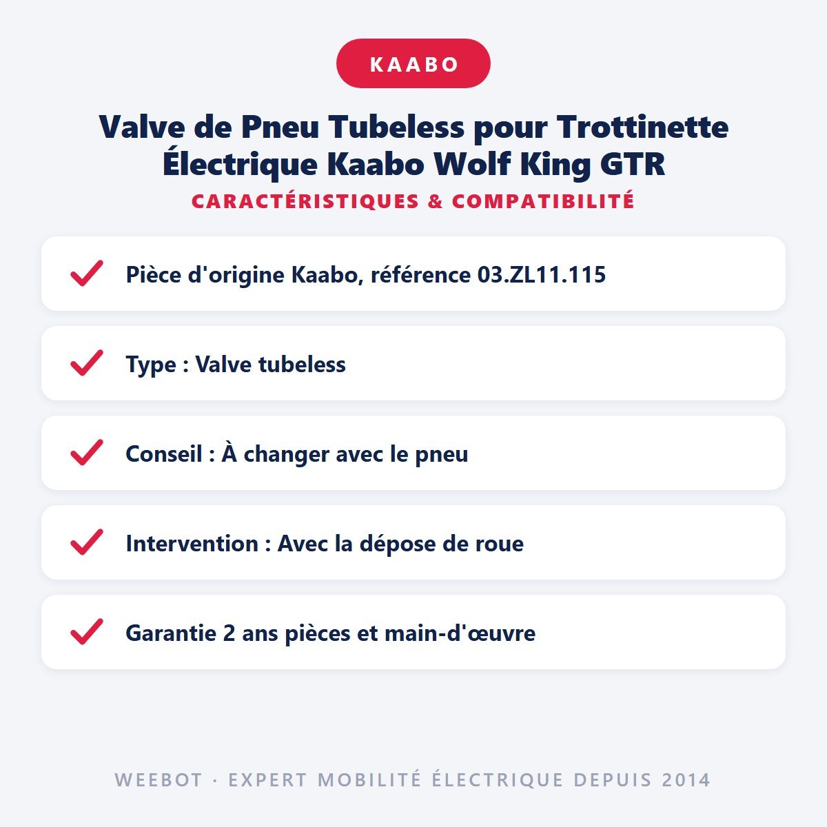 Valve de Pneu Tubeless pour Trottinette Électrique Kaabo Wolf King GTR - Weebot