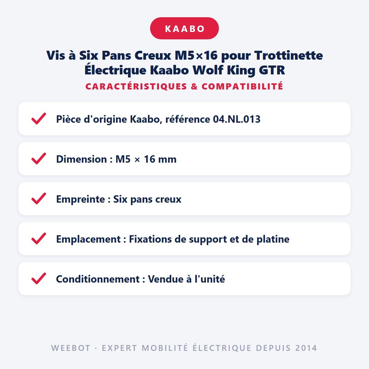 Vis à Six Pans Creux M5×16 pour Trottinette Électrique Kaabo Wolf King GTR - Weebot
