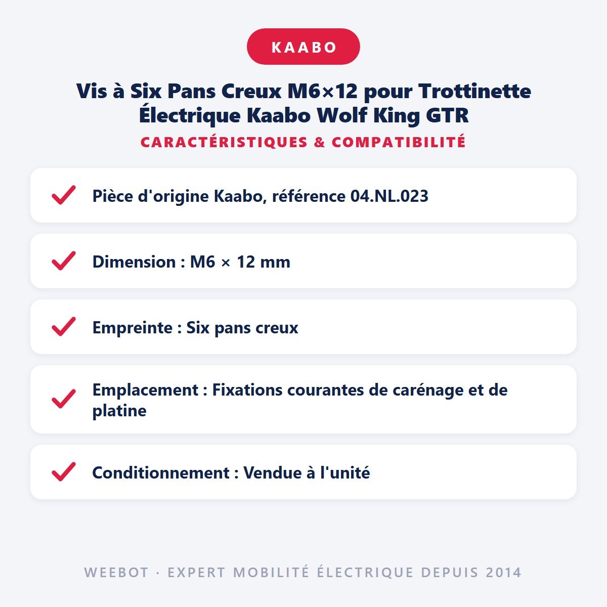 Vis à Six Pans Creux M6×12 pour Trottinette Électrique Kaabo Wolf King GTR - Weebot