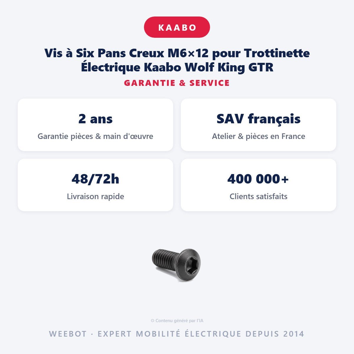 Vis à Six Pans Creux M6×12 pour Trottinette Électrique Kaabo Wolf King GTR - Weebot