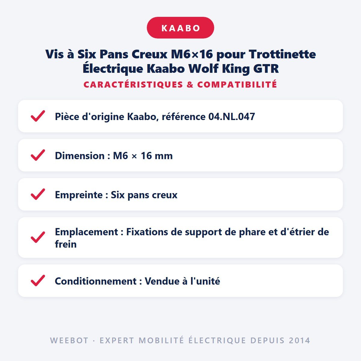 Vis à Six Pans Creux M6×16 pour Trottinette Électrique Kaabo Wolf King GTR - Weebot