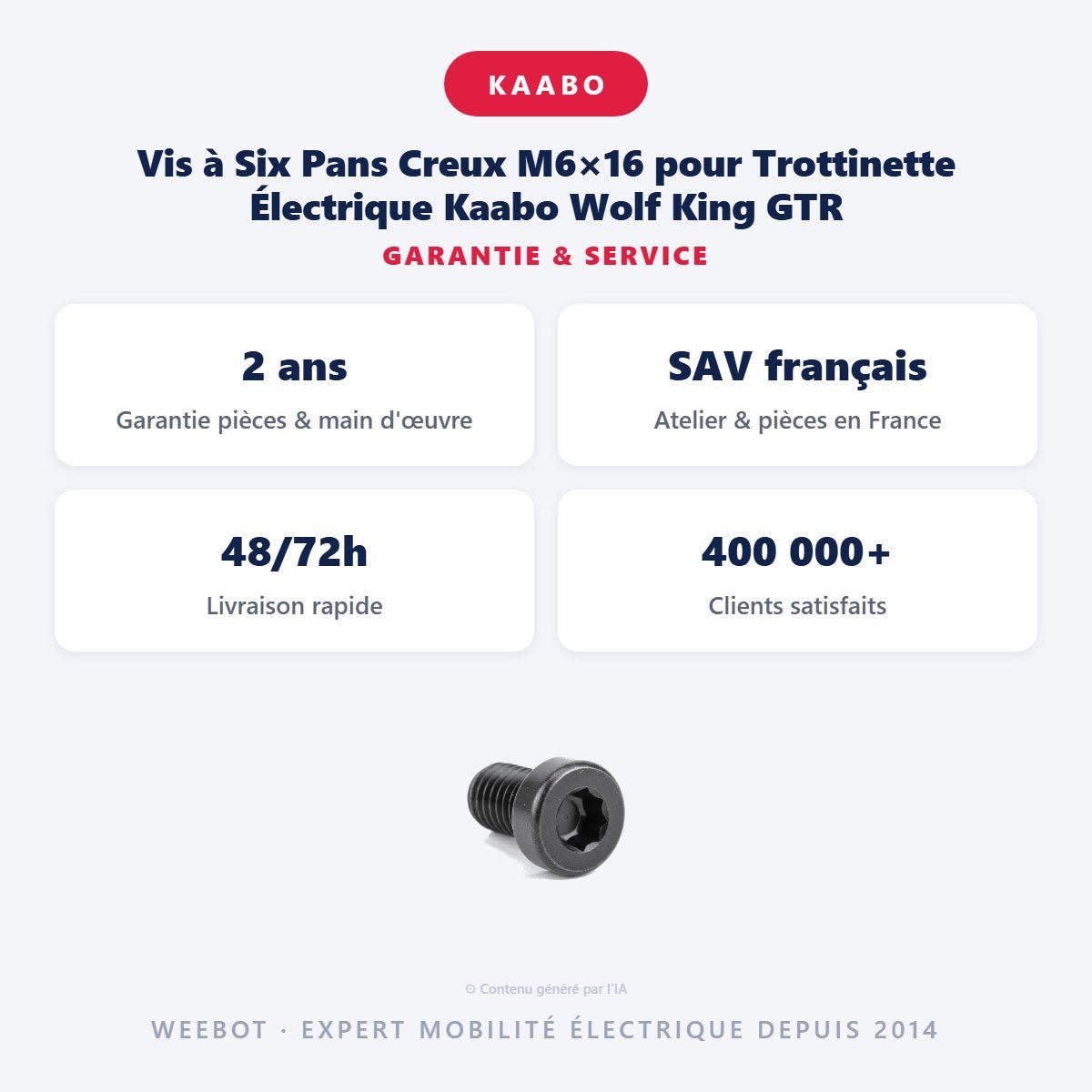 Vis à Six Pans Creux M6×16 pour Trottinette Électrique Kaabo Wolf King GTR - Weebot
