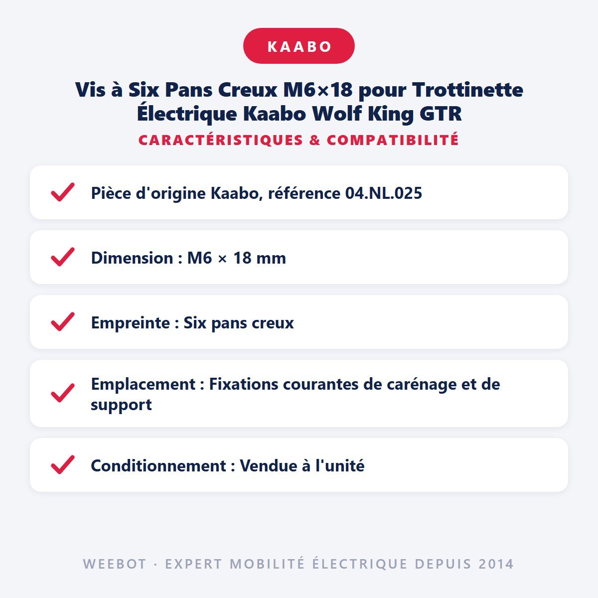 Vis à Six Pans Creux M6×18 pour Trottinette Électrique Kaabo Wolf King GTR - Weebot