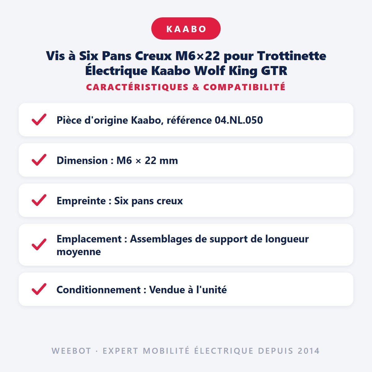 Vis à Six Pans Creux M6×22 pour Trottinette Électrique Kaabo Wolf King GTR - Weebot