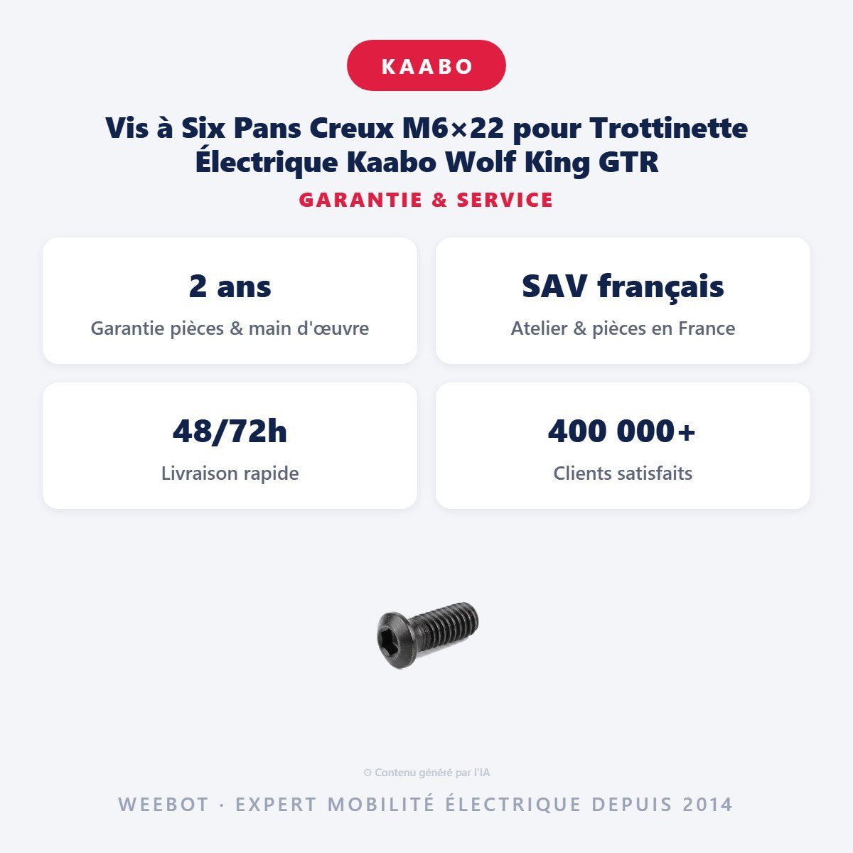 Vis à Six Pans Creux M6×22 pour Trottinette Électrique Kaabo Wolf King GTR - Weebot
