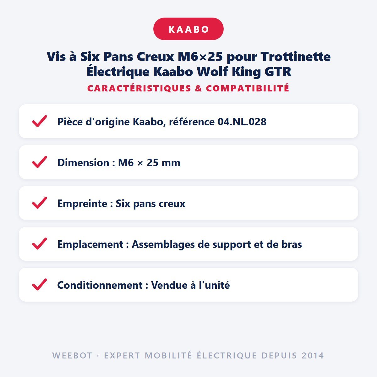 Vis à Six Pans Creux M6×25 pour Trottinette Électrique Kaabo Wolf King GTR - Weebot
