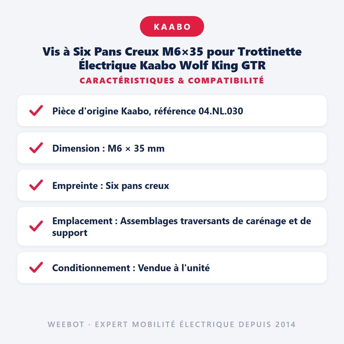 Vis à Six Pans Creux M6×35 pour Trottinette Électrique Kaabo Wolf King GTR - Weebot