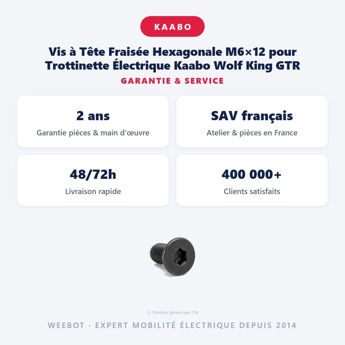 Vis à Tête Fraisée Hexagonale M6×12 pour Trottinette Électrique Kaabo Wolf King GTR - Weebot