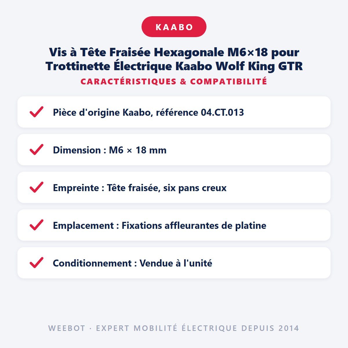 Vis à Tête Fraisée Hexagonale M6×18 pour Trottinette Électrique Kaabo Wolf King GTR - Weebot