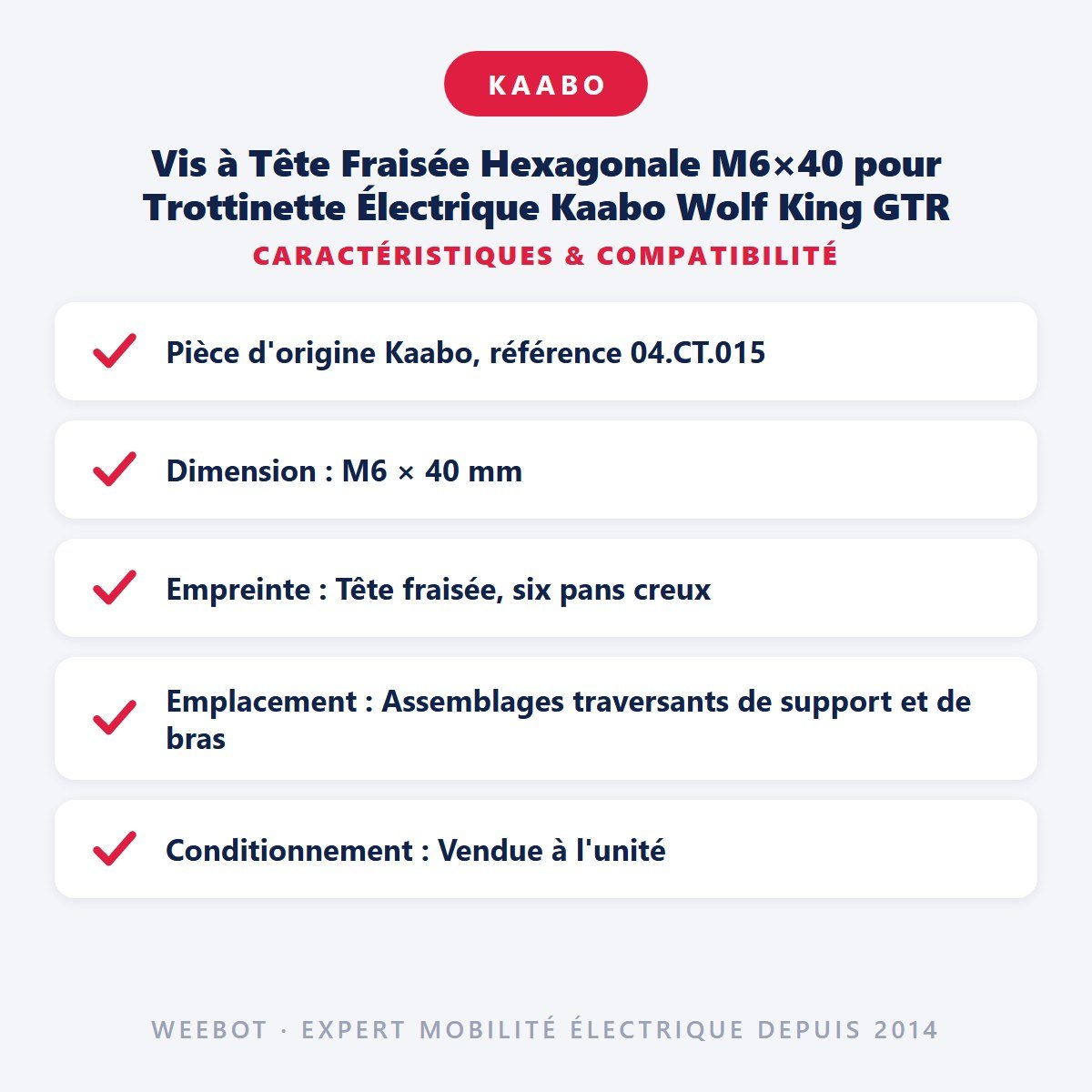 Vis à Tête Fraisée Hexagonale M6×40 pour Trottinette Électrique Kaabo Wolf King GTR - Weebot