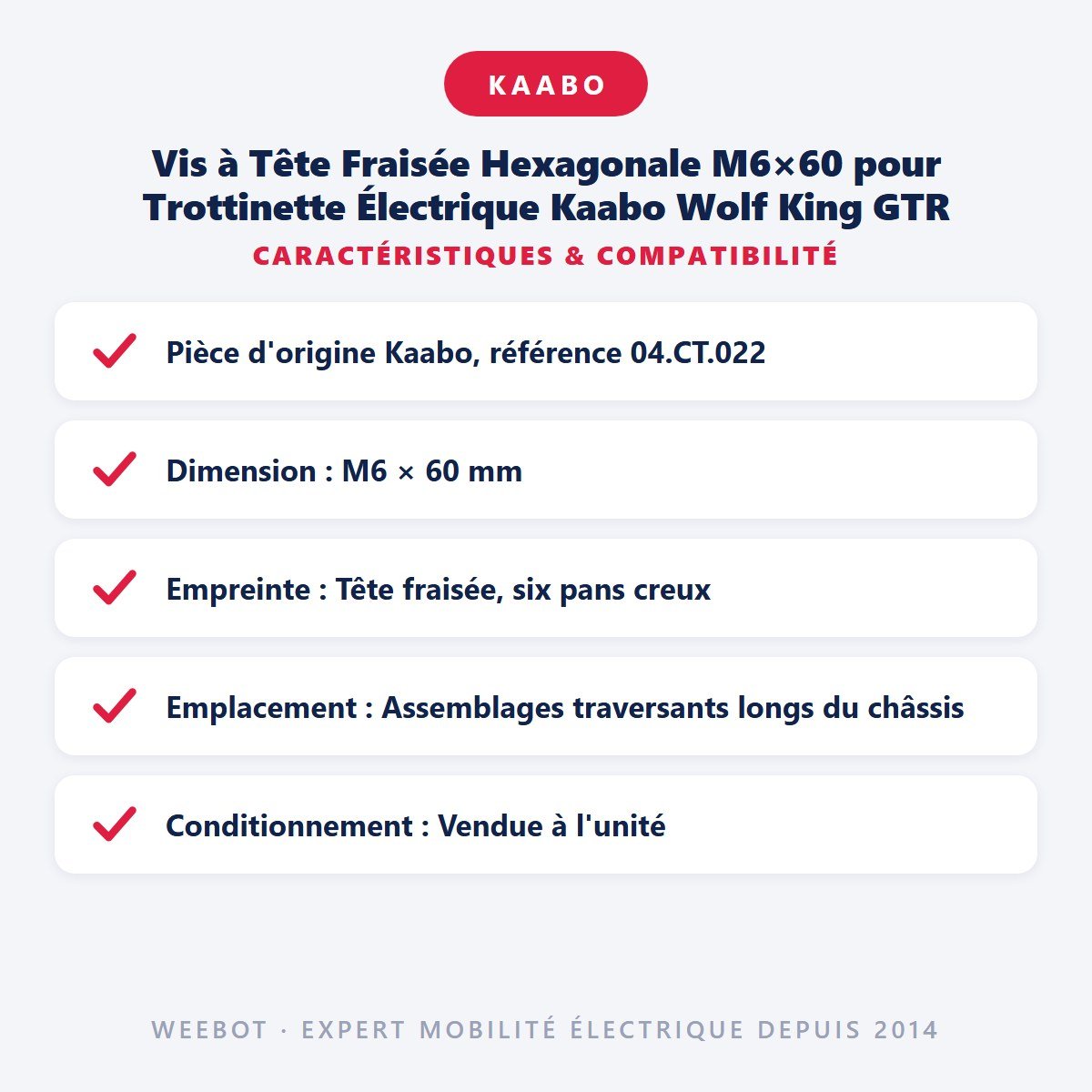 Vis à Tête Fraisée Hexagonale M6×60 pour Trottinette Électrique Kaabo Wolf King GTR - Weebot