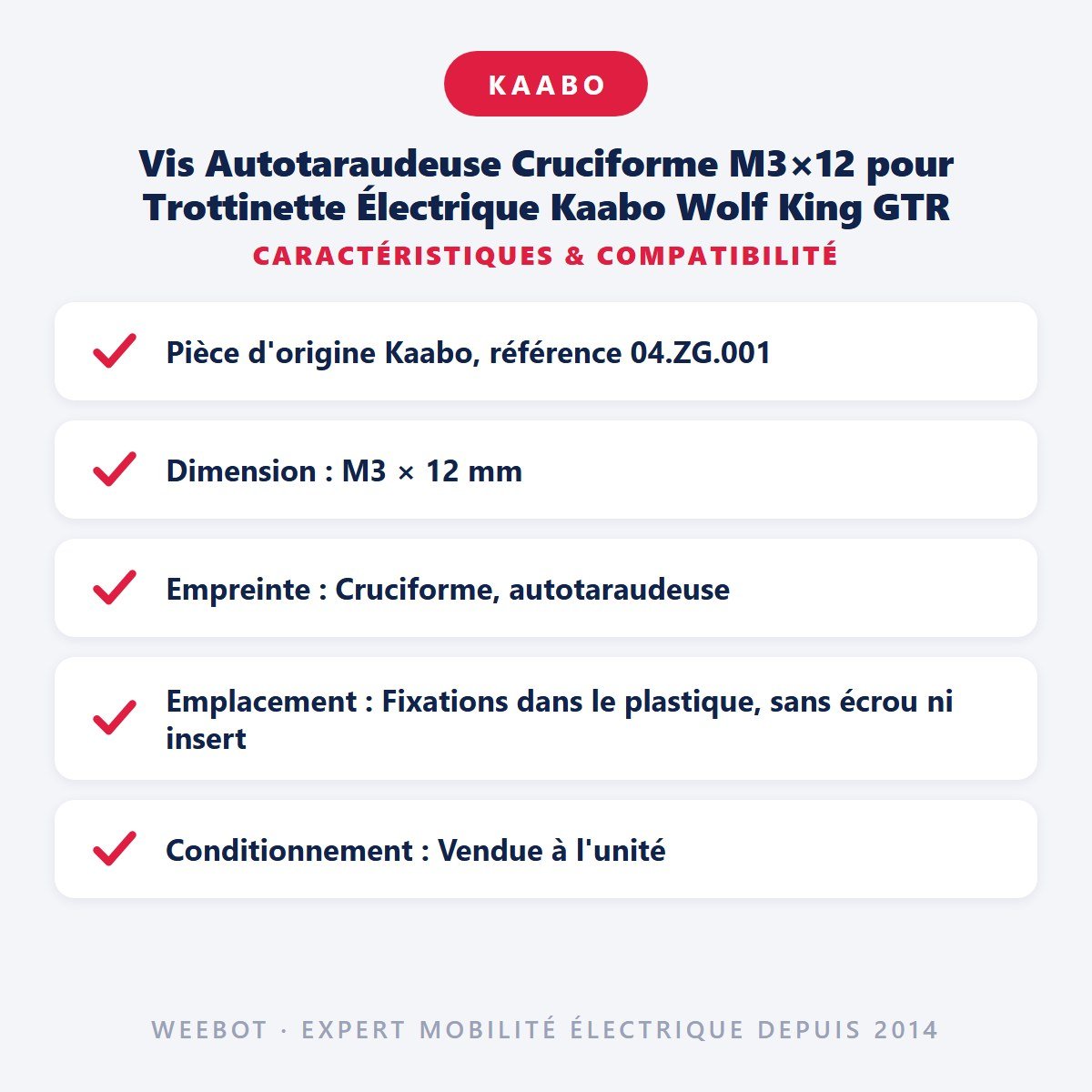 Vis Autotaraudeuse Cruciforme M3×12 pour Trottinette Électrique Kaabo Wolf King GTR - Weebot