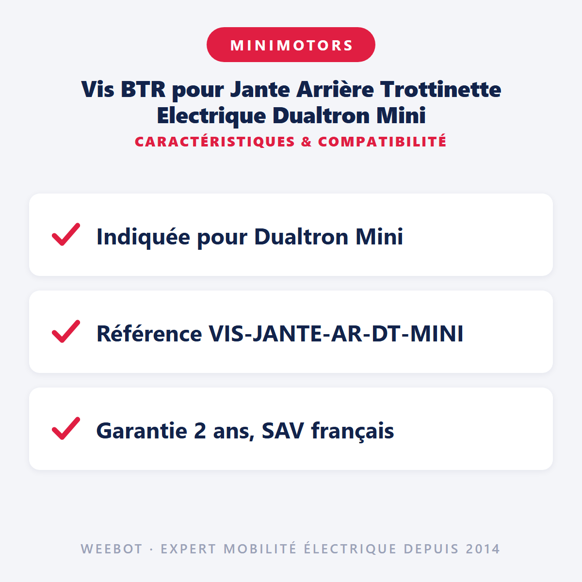 Vis BTR pour Jante Arrière Trottinette Electrique Dualtron Mini (Pack de 6) - Weebot
