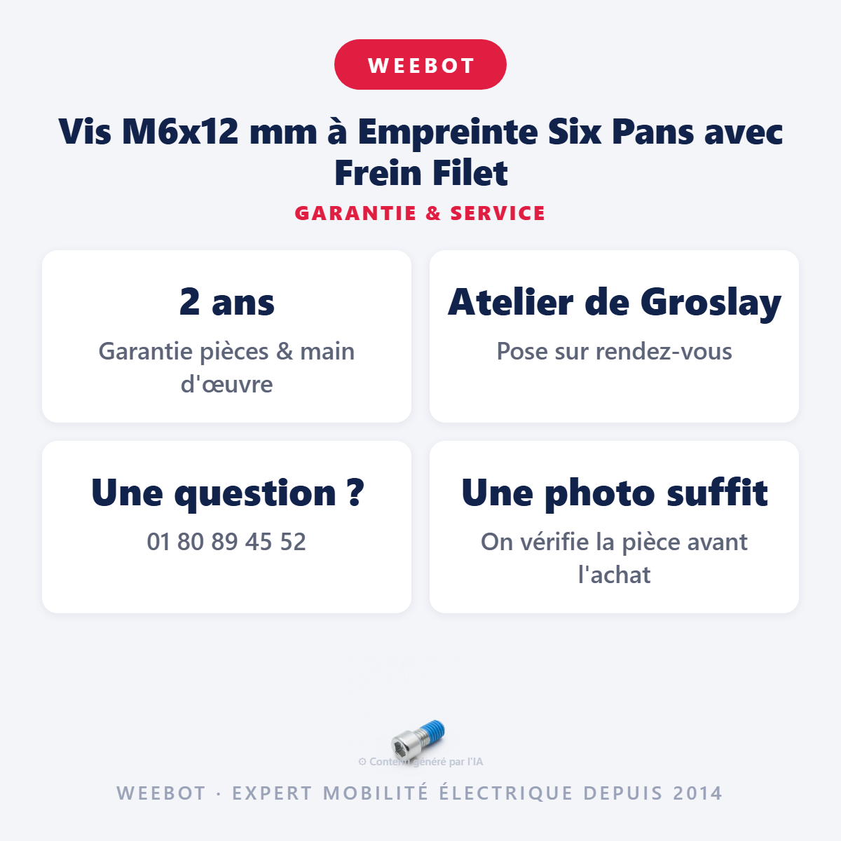 Vis M6x12 mm à Empreinte Six Pans avec Frein Filet : garantie 2 ans et service après-vente