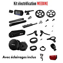 Kit bici elettrica Weebike RokKit City (batteria 250W - 36V 14Ah)
