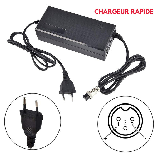 Chargeur Rapide pour Batterie 36V (Anoki, Mini 4 Pro Lite, Zero 8, GX1