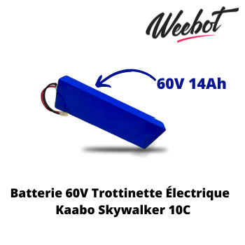 batterie interne trottinette electrique electrique Skywalker 10c kaabo 60v weebot pas cher