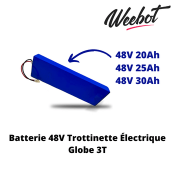 batterie interne trottinette electrique globe 3t 48v pas cher