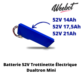 Bms 52v 30a pour batterie Minimotors dualtron mini - Sport & Plein air