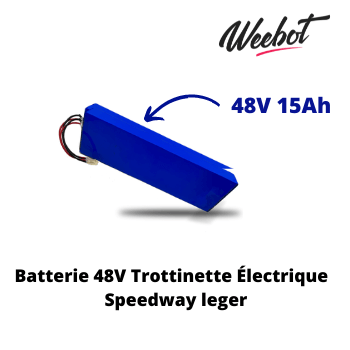 batterie trottinette electrique speedway leger 48v 15ah pas cher