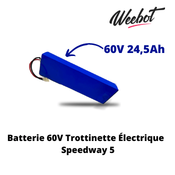 batterie interne trottinette elctrique speedway 5 60v haute performance pas cher